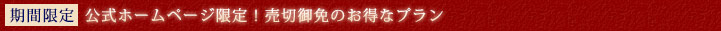 公式ホームページ限定！売切れ御免のお得なプラン